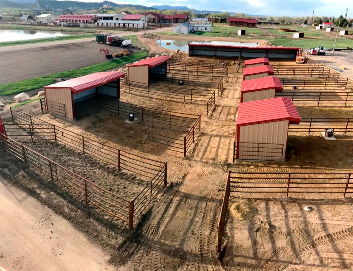 Equestrian Shed Buildings Horse Shed Buildings