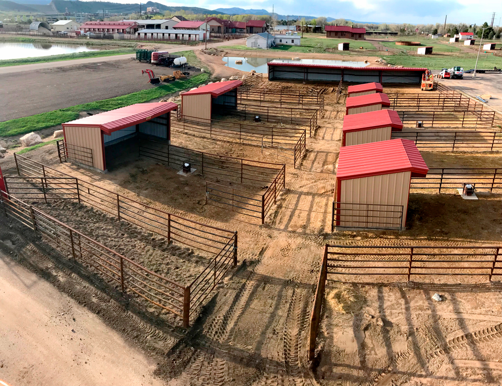 Equestrian Shed Buildings Horse Shed Buildings