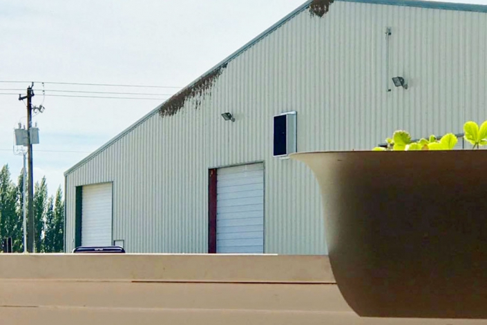 Honey Bees on Bee Keeping Warehouse Steel Warehouse Facility